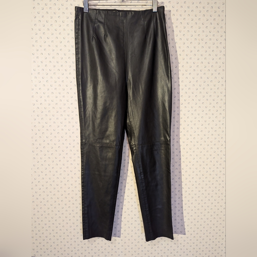 Zara Faux Leather Pants  Streetwear Night out Sleek Goth Dark City Chic Large